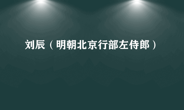 刘辰（明朝北京行部左侍郎）