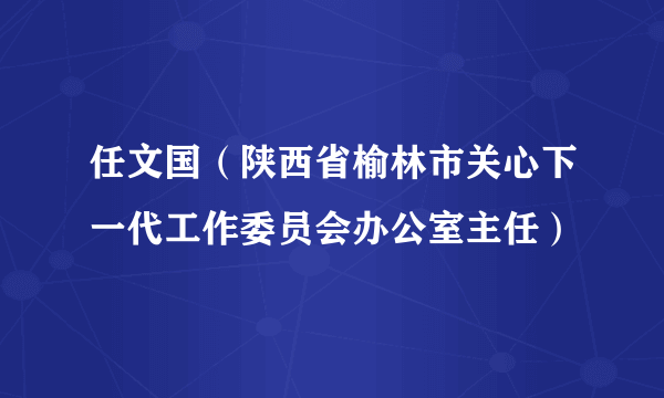 任文国（陕西省榆林市关心下一代工作委员会办公室主任）