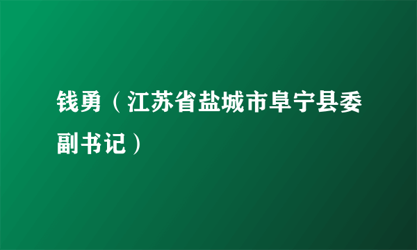 钱勇（江苏省盐城市阜宁县委副书记）