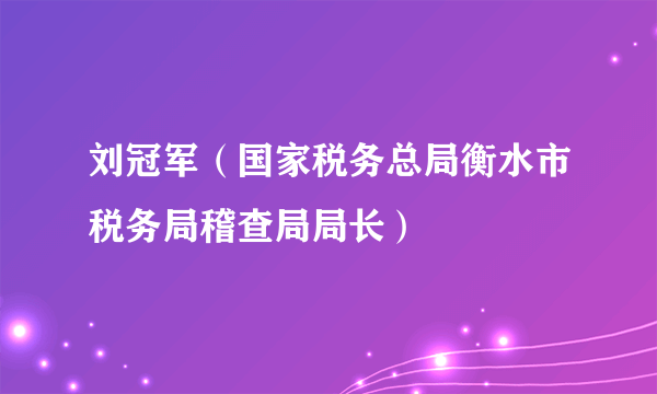 刘冠军（国家税务总局衡水市税务局稽查局局长）