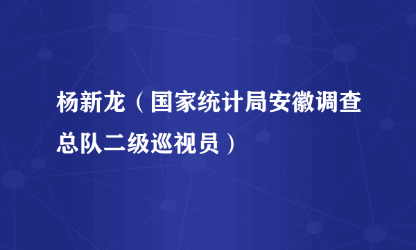 杨新龙（国家统计局安徽调查总队二级巡视员）