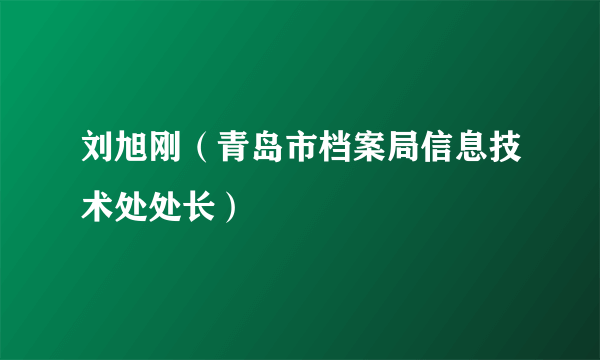 刘旭刚（青岛市档案局信息技术处处长）