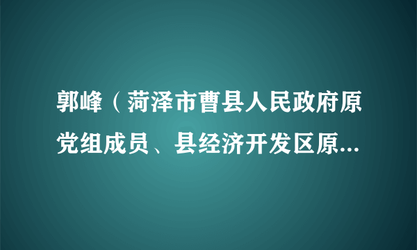 郭峰（菏泽市曹县人民政府原党组成员、县经济开发区原党工委书记、管委会原主任）