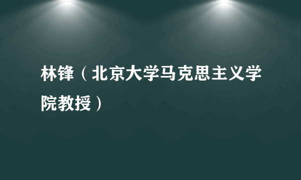 林锋（北京大学马克思主义学院教授）