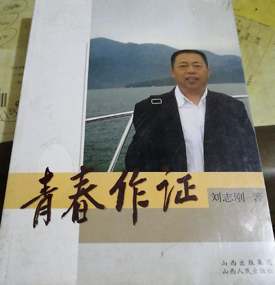 青春作证（2008年山西人民出版社出版的图书）