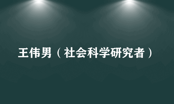 王伟男（社会科学研究者）