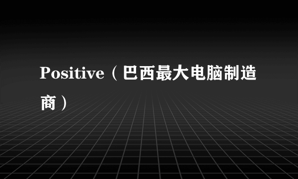 Positive（巴西最大电脑制造商）