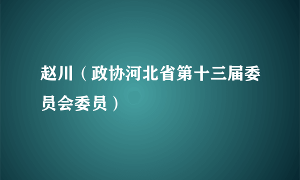 赵川（政协河北省第十三届委员会委员）