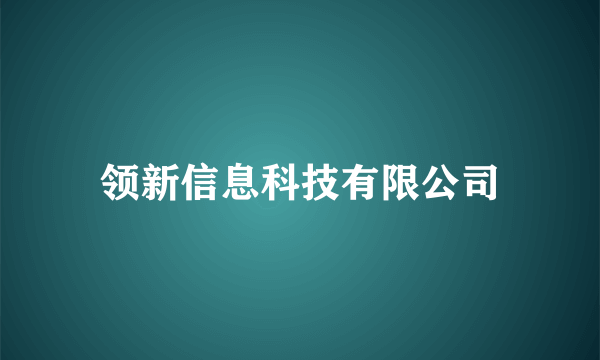 领新信息科技有限公司