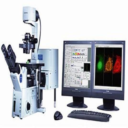 共聚焦激光扫描生物显微镜