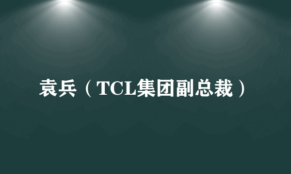 袁兵（TCL集团副总裁）