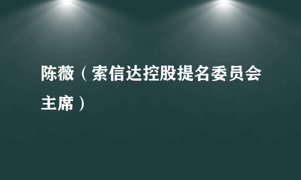 陈薇（索信达控股提名委员会主席）