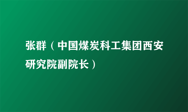 张群（中国煤炭科工集团西安研究院副院长）