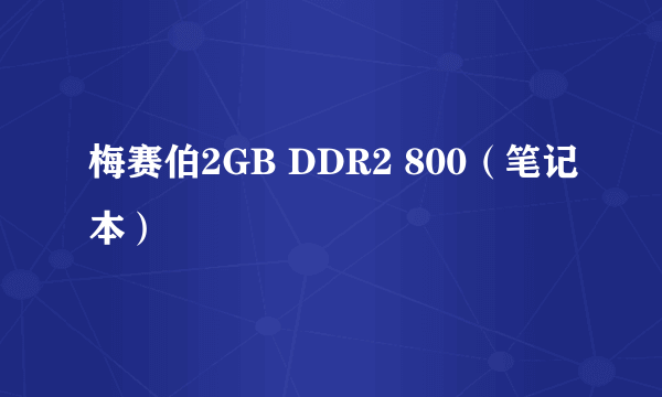 梅赛伯2GB DDR2 800（笔记本）