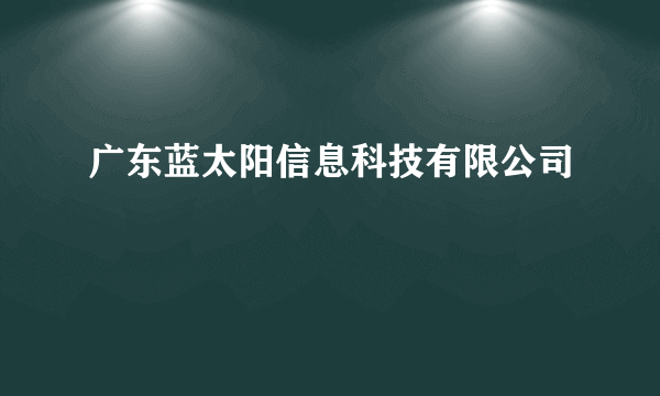 广东蓝太阳信息科技有限公司