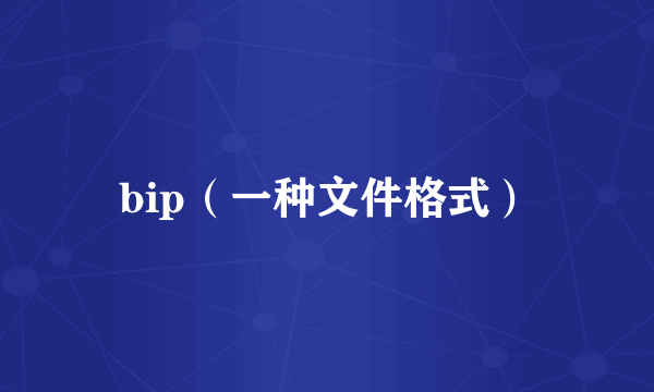 bip（一种文件格式）