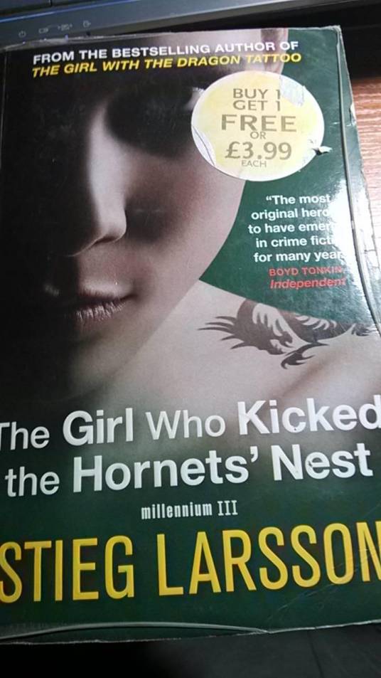 The Girl Who Kicked the Hornet's Nest（捅马蜂窝的女孩）