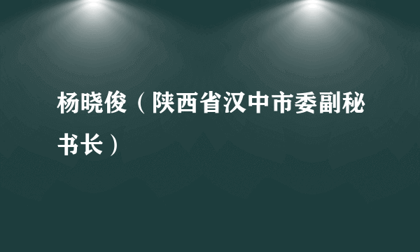 杨晓俊（陕西省汉中市委副秘书长）