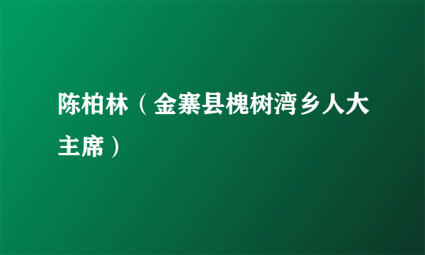 陈柏林（金寨县槐树湾乡人大主席）