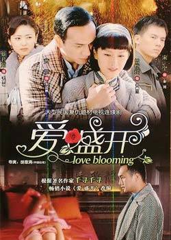 爱·盛开（2009年黄觉、曾恺玹主演电视剧）