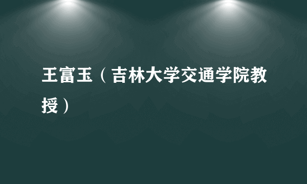 王富玉（吉林大学交通学院教授）