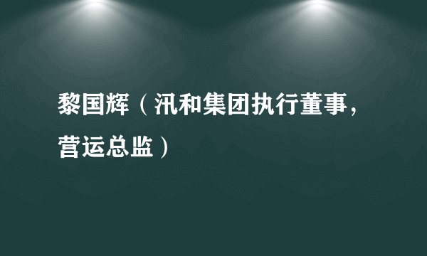 黎国辉（汛和集团执行董事，营运总监）