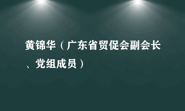 黄锦华（广东省贸促会副会长、党组成员）