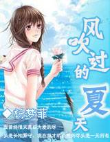 风吹过的夏天（杨梦菲创作的网络小说）