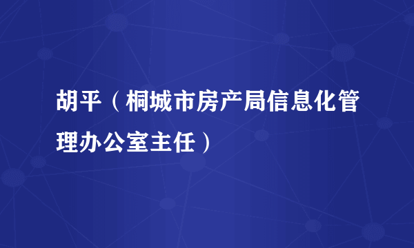 胡平（桐城市房产局信息化管理办公室主任）