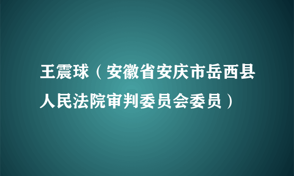 王震球（安徽省安庆市岳西县人民法院审判委员会委员）