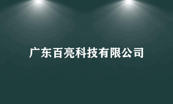 广东百亮科技有限公司