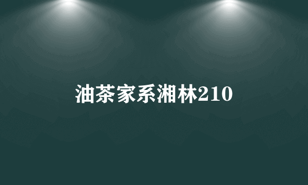 油茶家系湘林210