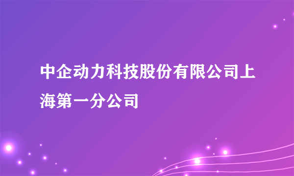 中企动力科技股份有限公司上海第一分公司