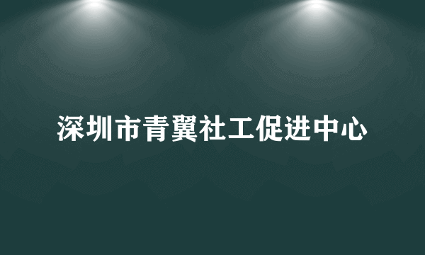 深圳市青翼社工促进中心