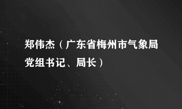 郑伟杰（广东省梅州市气象局党组书记、局长）