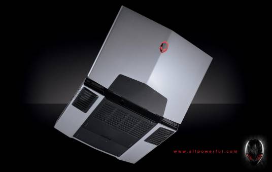 Alienware M17x(ALW17D-3828)