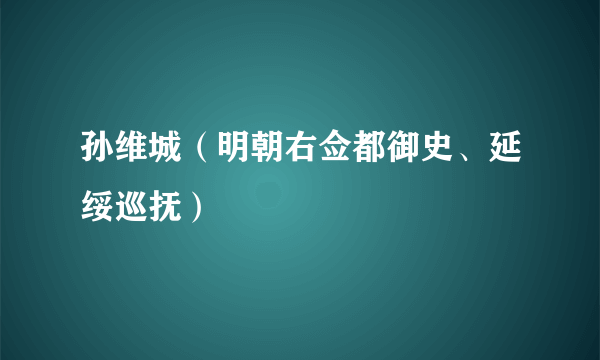 孙维城（明朝右佥都御史、延绥巡抚）