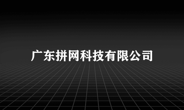 广东拼网科技有限公司