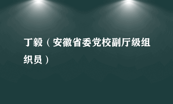 丁毅（安徽省委党校副厅级组织员）