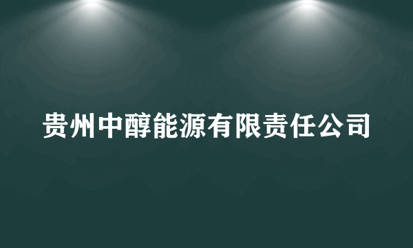 贵州中醇能源有限责任公司