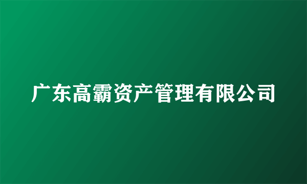 广东高霸资产管理有限公司