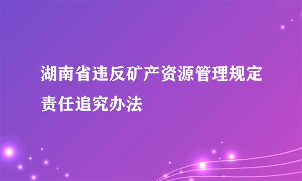 湖南省违反矿产资源管理规定责任追究办法