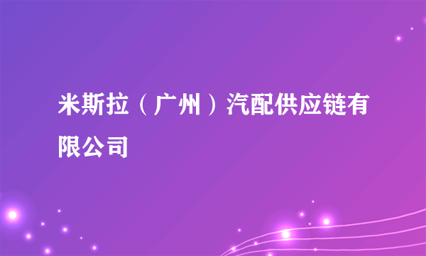 米斯拉（广州）汽配供应链有限公司