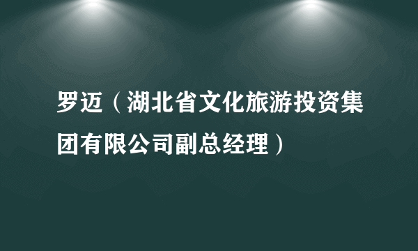 罗迈（湖北省文化旅游投资集团有限公司副总经理）