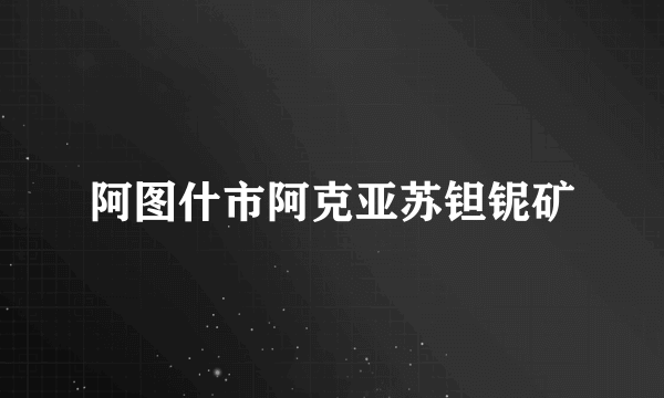 阿图什市阿克亚苏钽铌矿