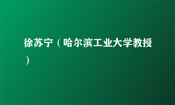 徐苏宁（哈尔滨工业大学教授）