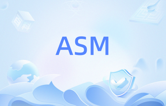 ASM（自动存储管理）