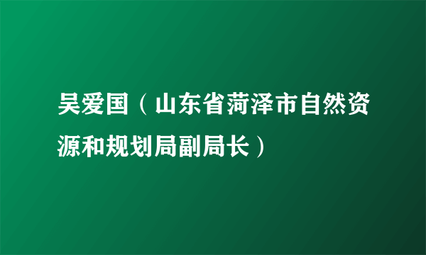 吴爱国（山东省菏泽市自然资源和规划局副局长）