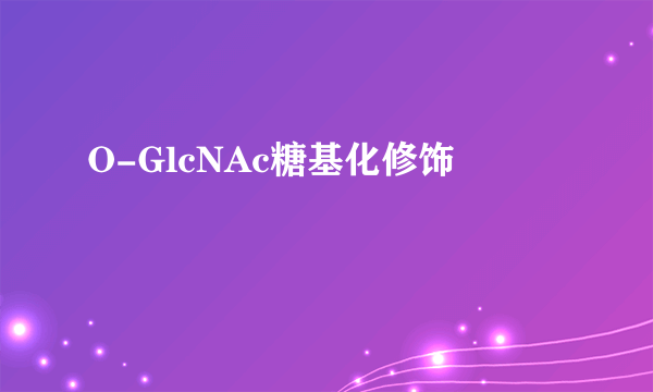 O-GlcNAc糖基化修饰