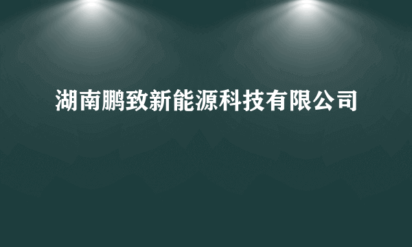 湖南鹏致新能源科技有限公司